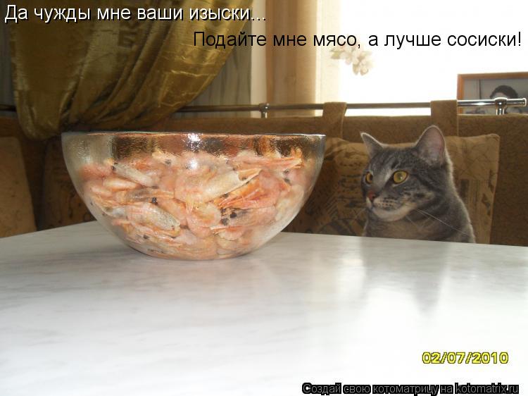 Котоматрица: Да чужды мне ваши изыски... Подайте мне мясо, а лучше сосиски!