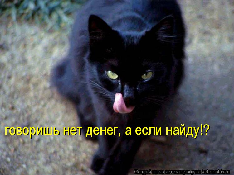Котоматрица: говоришь нет денег, а если найду!?