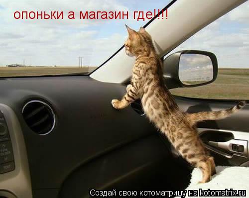 Котоматрица: опоньки а магазин где!!!!