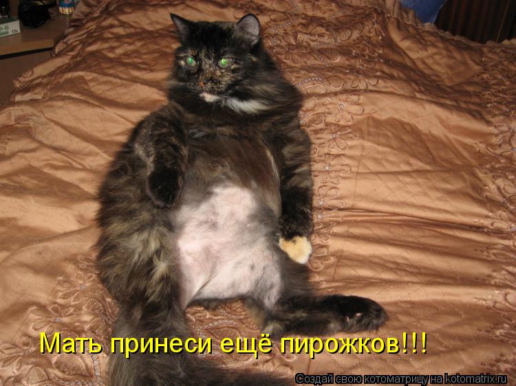 Котоматрица: Мать принеси ещё пирожков!!!