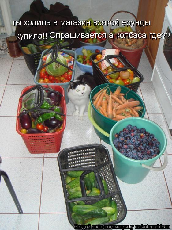 Котоматрица: ты ходила в магазин всякой ерунды  купила!! Спрашивается а колбаса где ??
