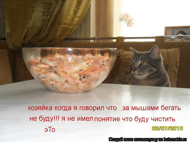Котоматрица: хозяйка когда я говорил что    за мышами бегать не буду!!! я не имел  понятие что буду чистить эТо