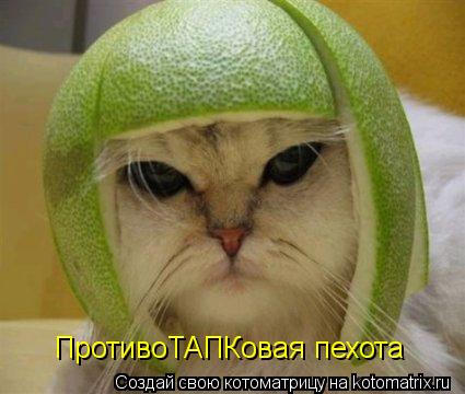 Котоматрица: ПротивоТАПКовая пехота