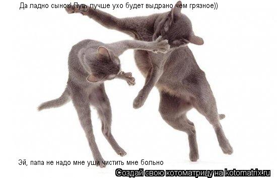 Котоматрица: Эй, папа не надо мне уши чистить мне больно Эй, папа не надо мне уши чистить мне больно Да ладно сынок! Путь лучше ухо будет выдрано чем грязн