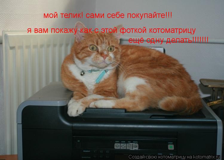Котоматрица: мой телик! сами себе покупайте!!! я вам покажу как с этой фоткой котоматрицу ещё одну делать!!!!!!!