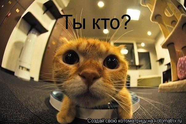 Котоматрица: Ты кто?