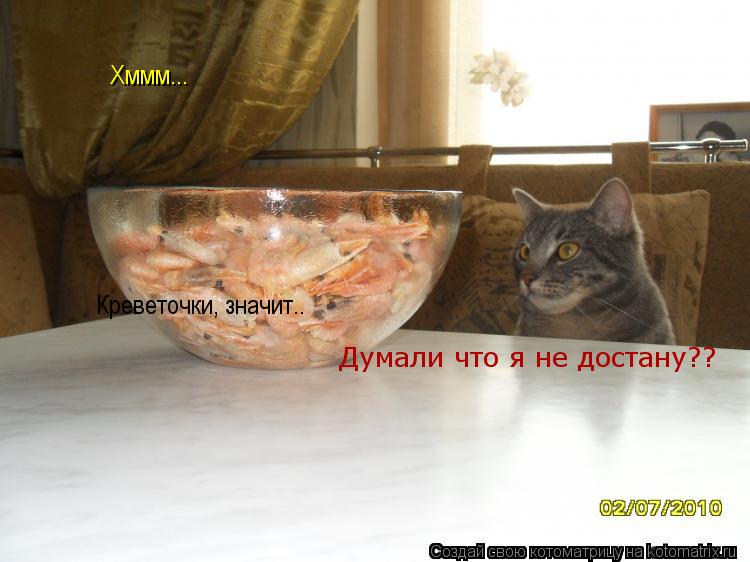 Котоматрица: Хммм... Креветочки, значит.. Думали что я не достану??