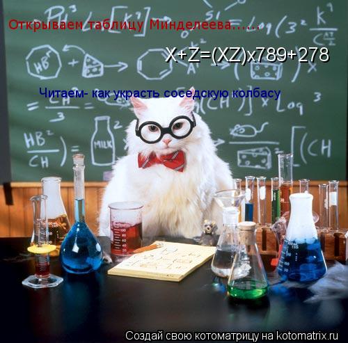 Котоматрица: Открываем таблицу Минделеева...... X+Z=(XZ)x789+278 Читаем- как украсть соседскую колбасу