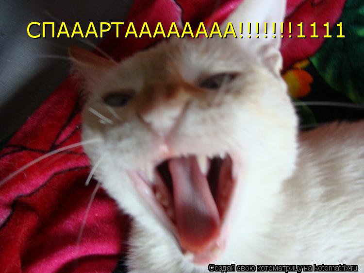 Котоматрица: СПАААРТАААААААА!!!!!!!1111