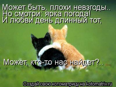 Котоматрица: Может быть, плохи невзгоды.. Но смотри: ярка погода! И любви день длинный тот, Может, кто-то нас найдет?..