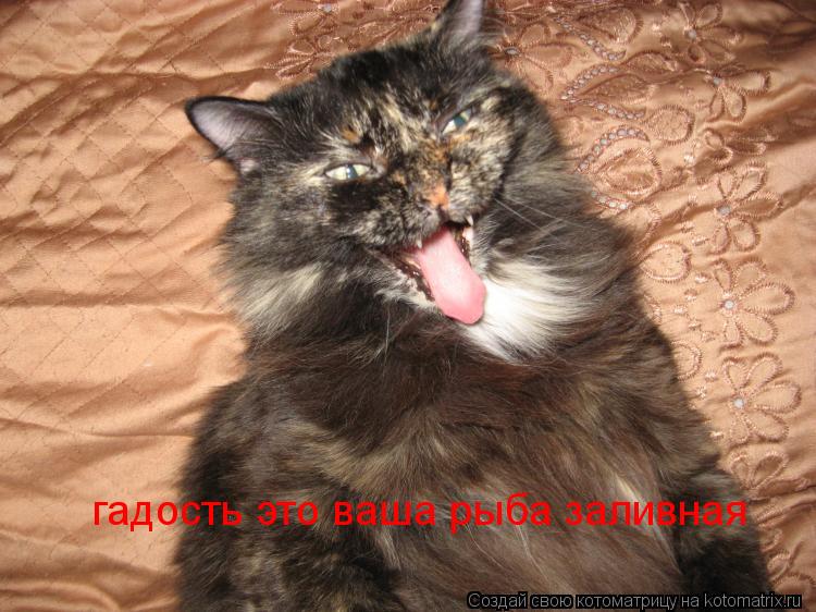 Котоматрица: гадость это ваша рыба заливная