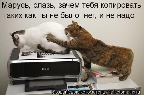 Котоматрица: Марусь, слазь, зачем тебя копировать, таких как ты не было, нет, и не надо