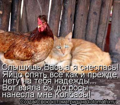 Котоматрица: Слышишь,Вась,а я снеслась!  Яйцо опять,всё как и прежде, нету на тебя надежды... Вот взяла бы,до росы,  нанесла мне Колбасы!