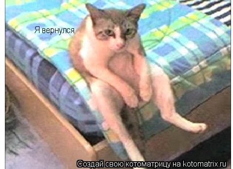 Котоматрица: Я вернулся