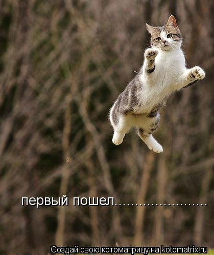 Котоматрица: первый пошел....................... первый пошел.......................