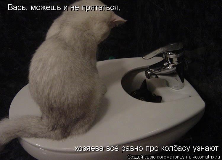 Котоматрица: -Вась, можешь и не прятаться, хозяева всё равно про колбасу узнают