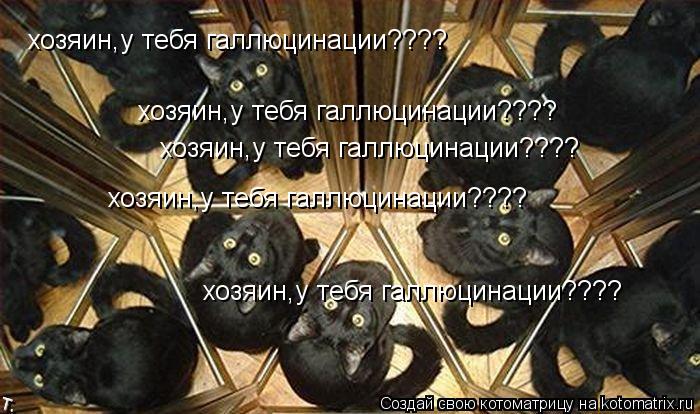 Котоматрица: хозяин,у тебя галлюцинации???? хозяин,у тебя галлюцинации???? хозяин,у тебя галлюцинации???? хозяин,у тебя галлюцинации???? хозяин,у тебя галлюци