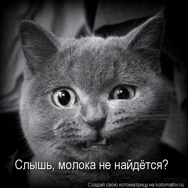Котоматрица: Слышь, молока не найдётся?