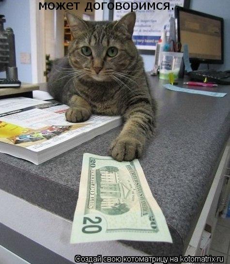 Котоматрица: может договоримся...