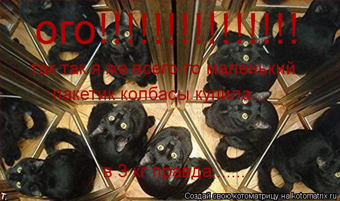 Котоматрица: ого!!!!!!!!!!!!!!! так так я же всего то маленький  пакетик колбасы купила... в 3 кг правда.......