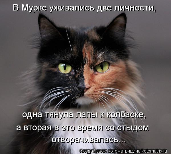 Котоматрица: В Мурке уживались две личности, одна тянула лапы к колбаске, а вторая в это время со стыдом отворачивалась...