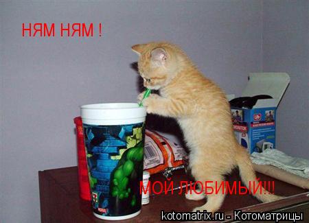Котоматрица: НЯМ НЯМ ! МОЙ ЛЮБИМЫЙ!!!