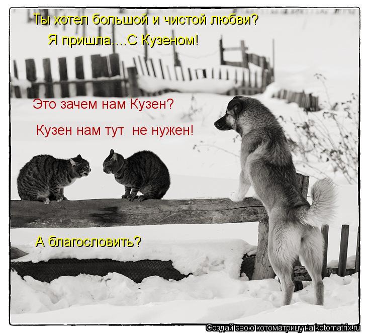 Котоматрица: Ты хотел большой и чистой любви? Кузен нам тут  не нужен! Я пришла....С Кузеном! Это зачем нам Кузен? А благословить?