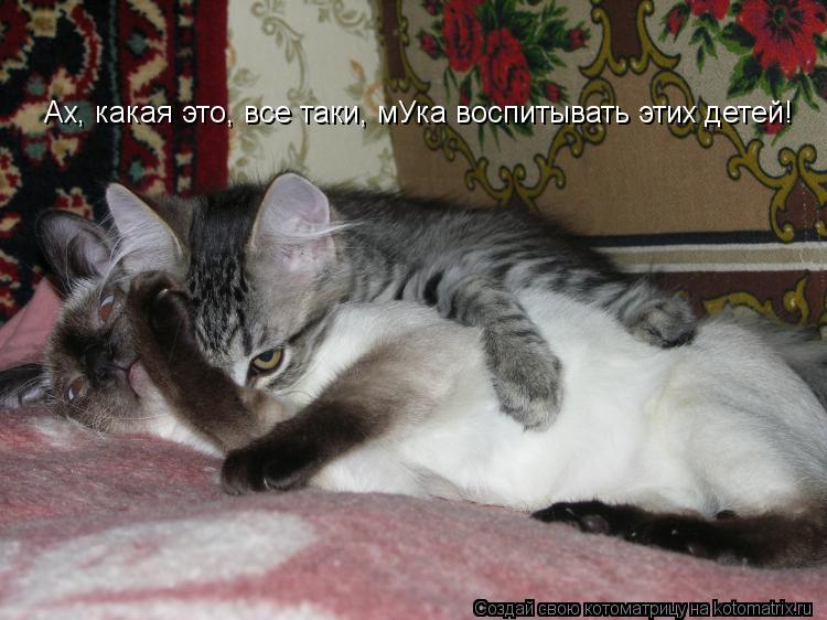 Котоматрица: Ах, какая это, все таки, мУка воспитывать этих детей!