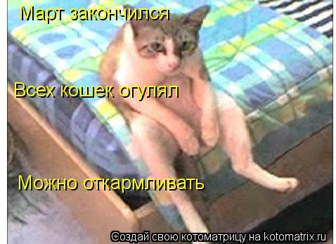 Котоматрица: Март закончился Всех кошек огулял Можно откармливать