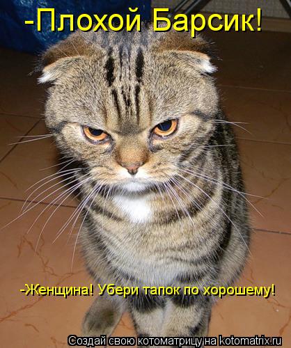 Котоматрица: -Плохой Барсик! -Женщина! Убери тапок по хорошему!