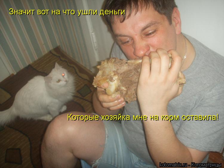 Котоматрица: Значит вот на что ушли деньги Которые хозяйка мне на корм оставила!