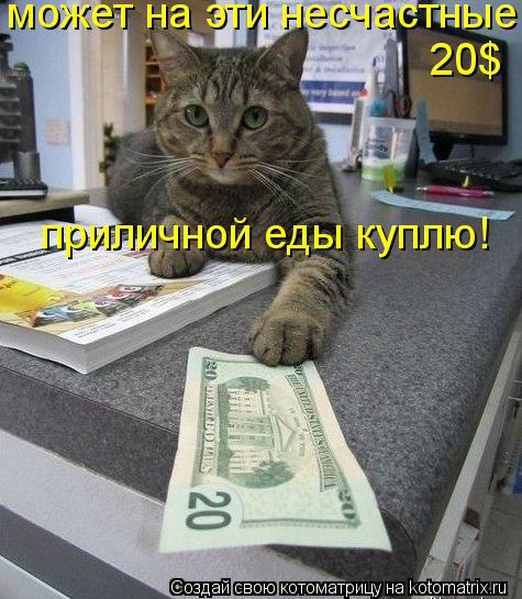 Котоматрица: может на эти несчастные  20$ приличной еды куплю!