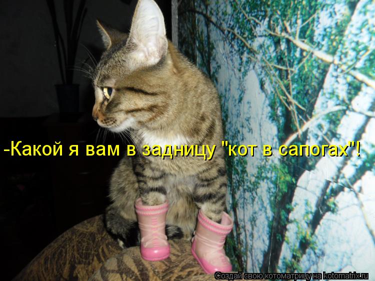 Котоматрица: -Какой я вам в задницу "кот в сапогах"!
