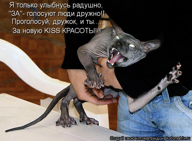 Котоматрица: Я только улыбнусь радушно, "ЗА"- голосуют люди дружно!! Проголосуй, дружок, и ты..... За новую KISS КРАСОТЫ!!!