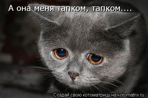 Котоматрица: А она меня тапком, тапком....