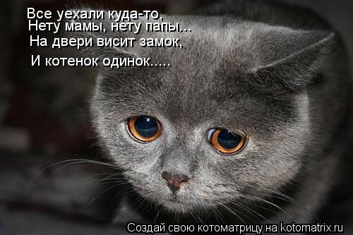 Котоматрица: Все уехали куда-то, Нету мамы, нету папы... На двери висит замок, И котенок одинок.....