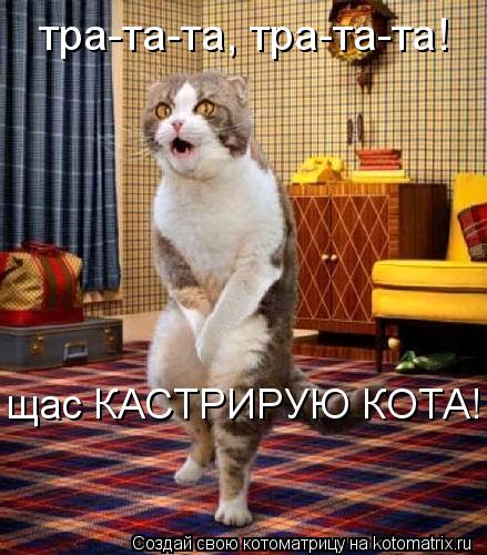 Котоматрица: тра-та-та, тра-та-та! щас КАСТРИРУЮ КОТА!