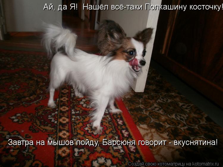 Котоматрица: Ай, да Я!  Нашёл всё-таки Полкашину косточку!  Завтра на мышов пойду, Барсюня говорит - вкуснятина!   Завтра на мышов пойду, Барсюня говорит - вк