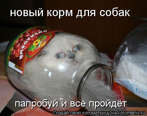 Котоматрица: новый корм для собак папробуй и всё пройдёт