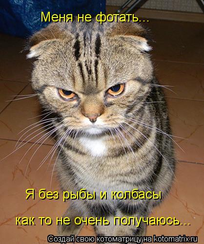 Котоматрица: Меня не фотать... Я без рыбы и колбасы как то не очень получаюсь...