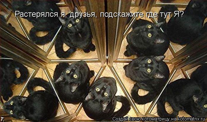 Растерялся я, друзья, подскажите где тут Я?... Котоматрица: Растерялся я, друзья, подскажите где тут Я?