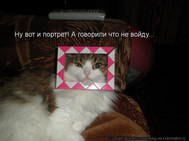 Котоматрица: Ну вот и портрет! А говорили что не войду...