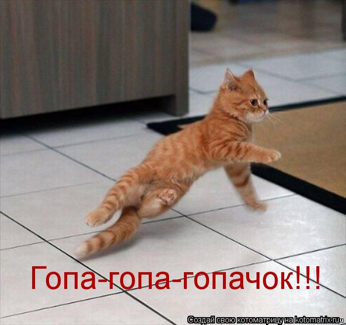 Котоматрица: Гопа-гопа-гопачок!!!