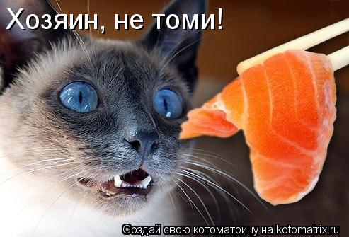 Котоматрица: Хозяин, не томи!