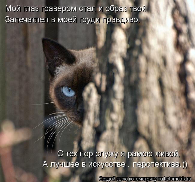 Котоматрица: Мой глаз гравером стал и образ твой Запечатлел в моей груди правдиво. С тех пор служу я рамою живой, А лучшее в искусстве — перспектива.))