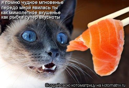 Котоматрица: я помню чудное мгновенье передо мной явилась ты как мимолетное вкушенье как рыбка супер вкусноты