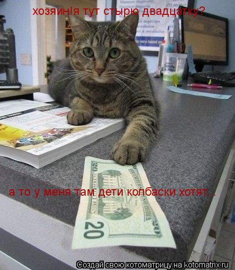 Котоматрица: хозяин!я тут стырю двадцатку? а то у меня там дети колбаски хотят...