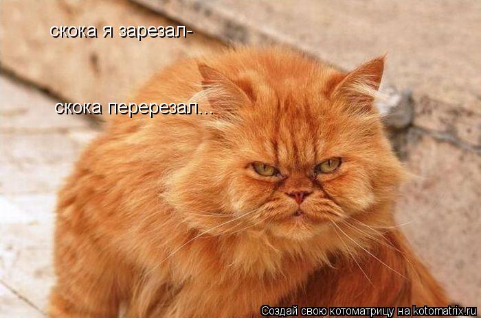 Котоматрица: скока я зарезал- скока перерезал...