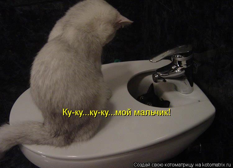 Котоматрица: Ку-ку...ку-ку...мой мальчик!