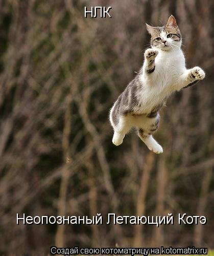 Котоматрица: НЛК Неопознаный Летающий Котэ